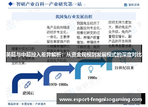 英超与中超投入差异解析：从资金规模到发展模式的深度对比