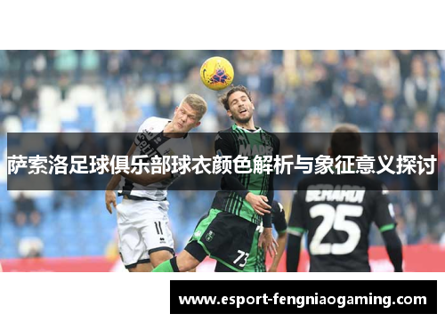 萨索洛足球俱乐部球衣颜色解析与象征意义探讨