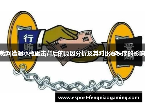 裁判遭遇水瓶砸击背后的原因分析及其对比赛秩序的影响 裁判遭遇水瓶砸击背后的原因分析及其对比赛秩序的影响
