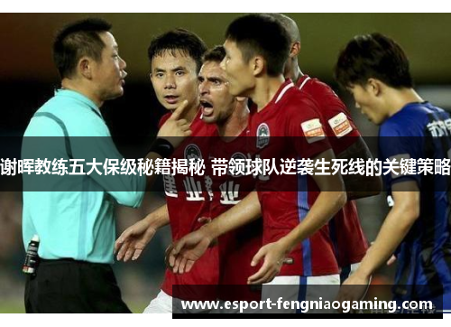 谢晖教练五大保级秘籍揭秘 带领球队逆袭生死线的关键策略