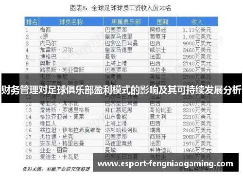 财务管理对足球俱乐部盈利模式的影响及其可持续发展分析