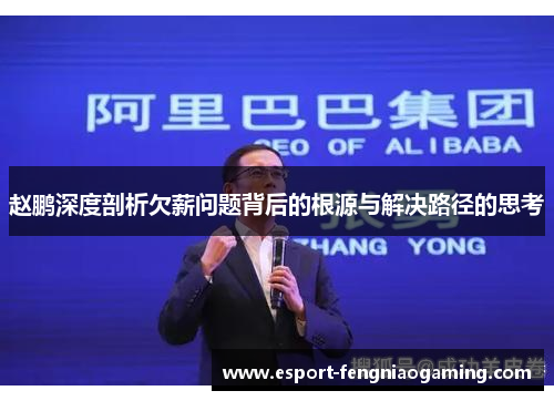 赵鹏深度剖析欠薪问题背后的根源与解决路径的思考