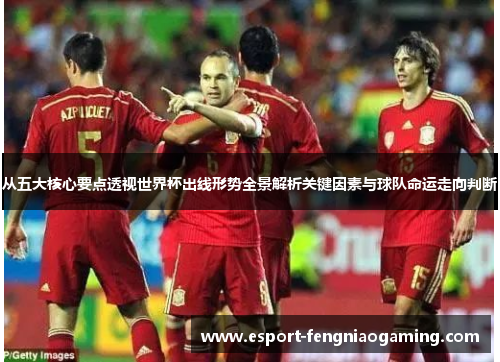 从五大核心要点透视世界杯出线形势全景解析关键因素与球队命运走向判断
