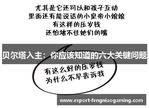 贝尔塔入主：你应该知道的六大关键问题