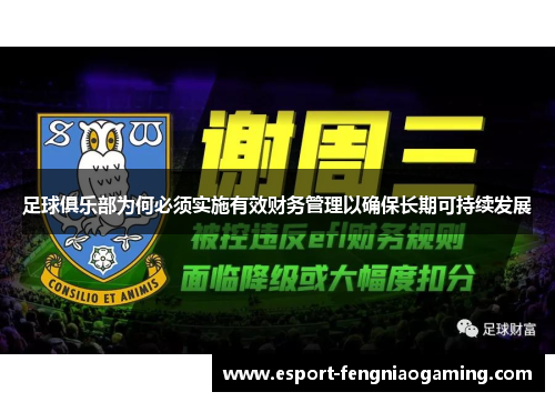 足球俱乐部为何必须实施有效财务管理以确保长期可持续发展