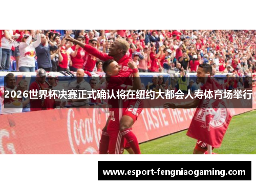 2026世界杯决赛正式确认将在纽约大都会人寿体育场举行