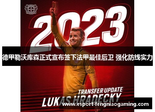 德甲勒沃库森正式宣布签下法甲最佳后卫 强化防线实力