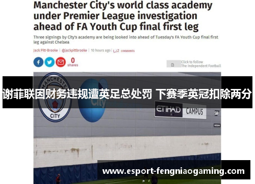 谢菲联因财务违规遭英足总处罚 下赛季英冠扣除两分