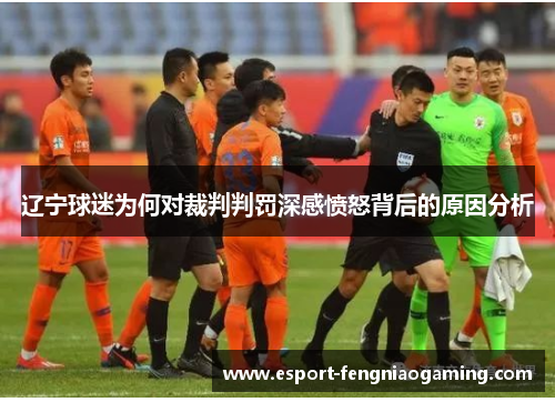 辽宁球迷为何对裁判判罚深感愤怒背后的原因分析