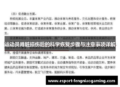 运动员肾脏损伤后的科学恢复步骤与注意事项详解