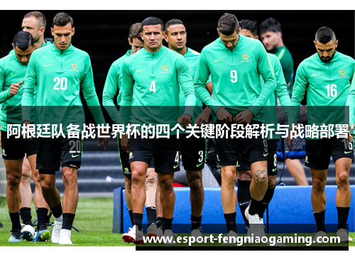 阿根廷队备战世界杯的四个关键阶段解析与战略部署