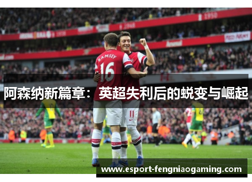 阿森纳新篇章：英超失利后的蜕变与崛起