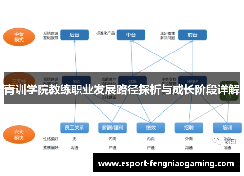 青训学院教练职业发展路径探析与成长阶段详解