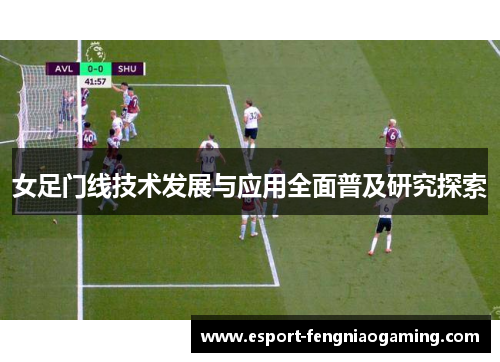 女足门线技术发展与应用全面普及研究探索