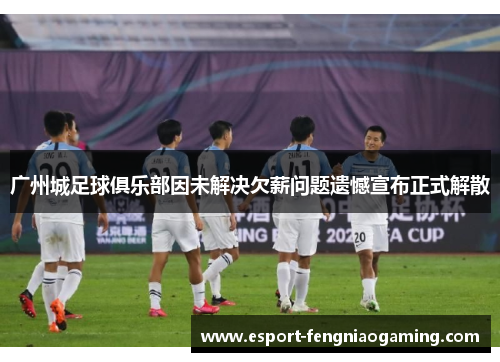 广州城足球俱乐部因未解决欠薪问题遗憾宣布正式解散 广州城足球俱乐部因未解决欠薪问题遗憾宣布正式解散