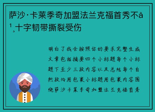 萨沙·卡莱季奇加盟法兰克福首秀不幸十字韧带撕裂受伤 萨沙·卡莱季奇加盟法兰克福首秀不幸十字韧带撕裂受伤